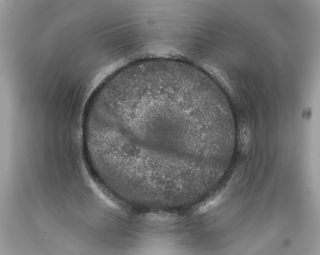 X0000091520630200709141415