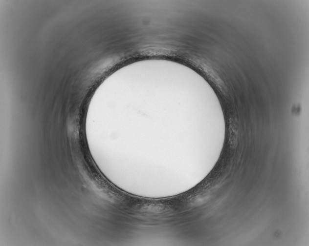 X0000091520631200709141415