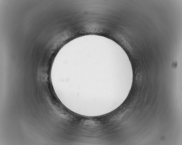 X0000091520635200709141416