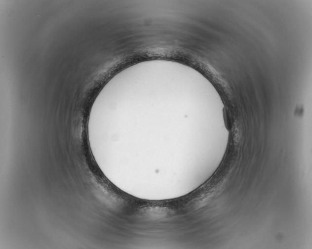 X0000091520637200709141416