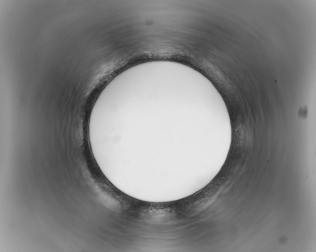 X0000091520638200709141416