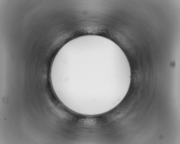 X0000091520639200709141416