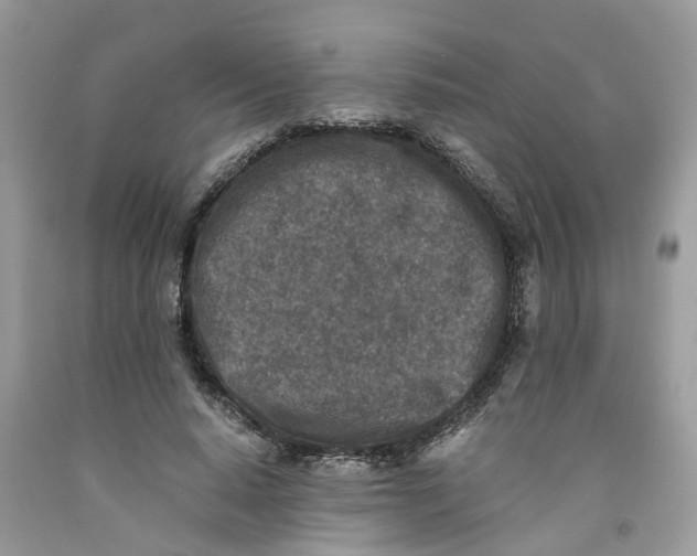 X0000091520640200709141416