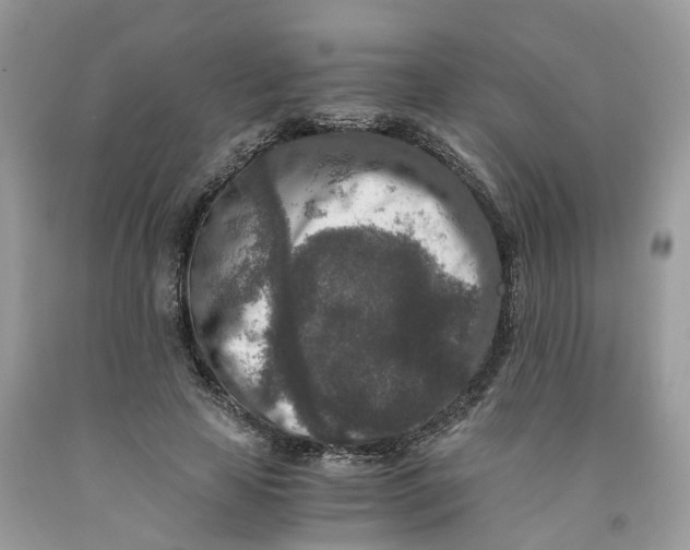 X0000091520641200709141416