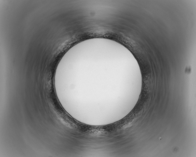 X0000091520642200709141416