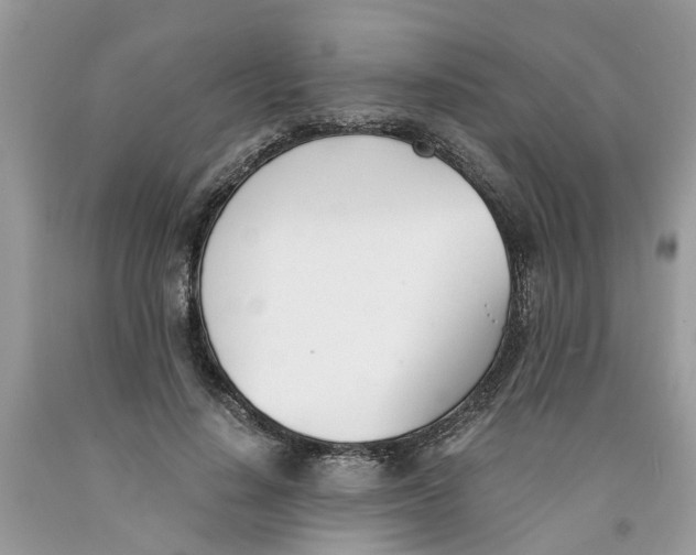 X0000091520644200709141416