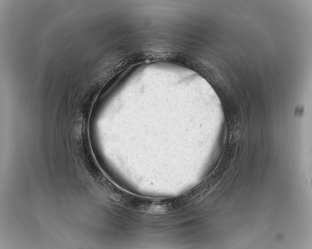 X0000091520647200709141416