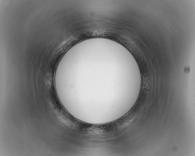 X0000091520648200709141416