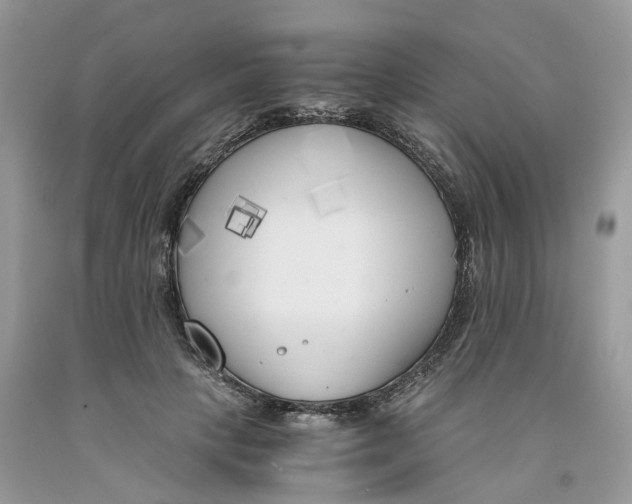 X0000091520649200709141416