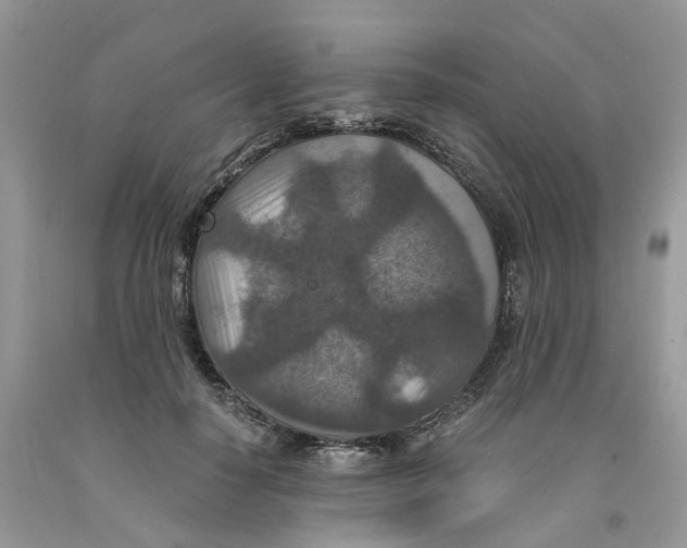 X0000091520650200709141416