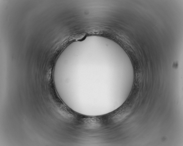 X0000091520652200709141416