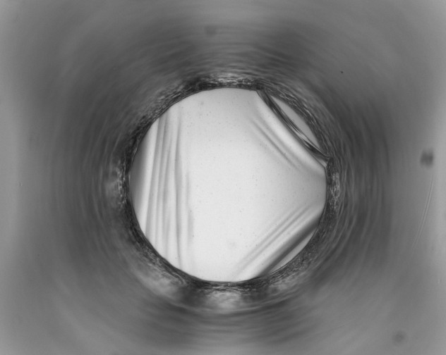 X0000091520653200709141416