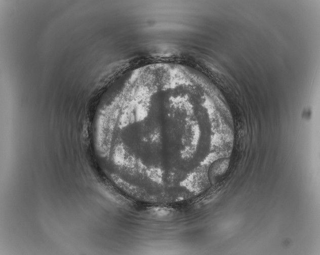 X0000091520654200709141416