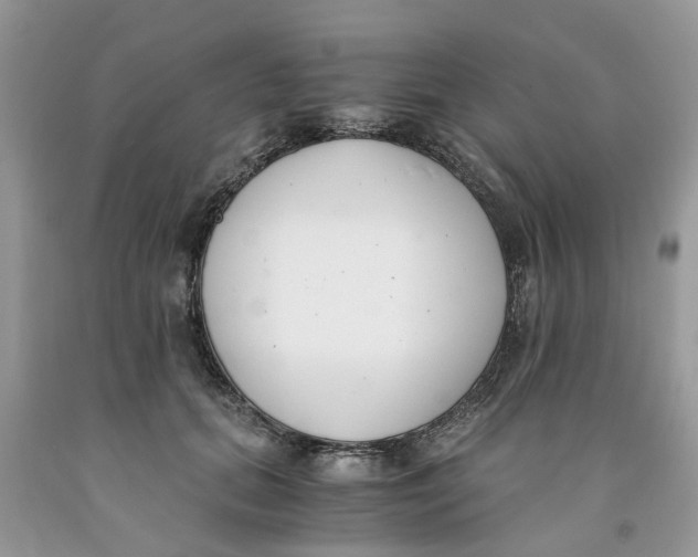 X0000091520655200709141416