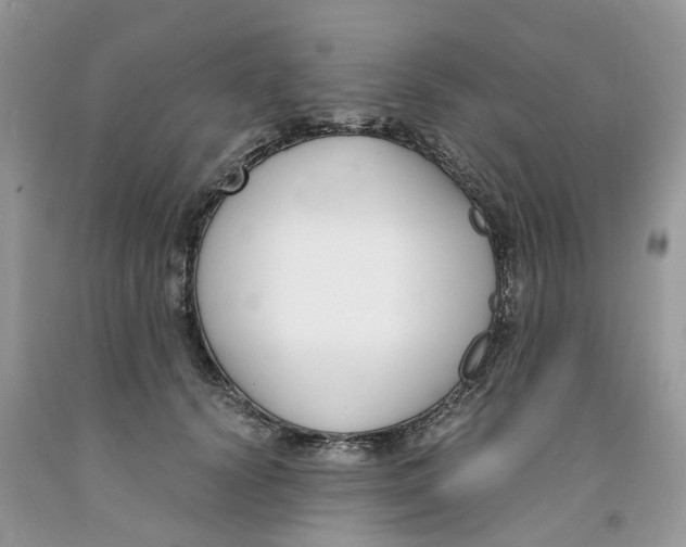 X0000091520656200709141416