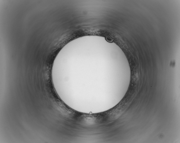 X0000091520658200709141416