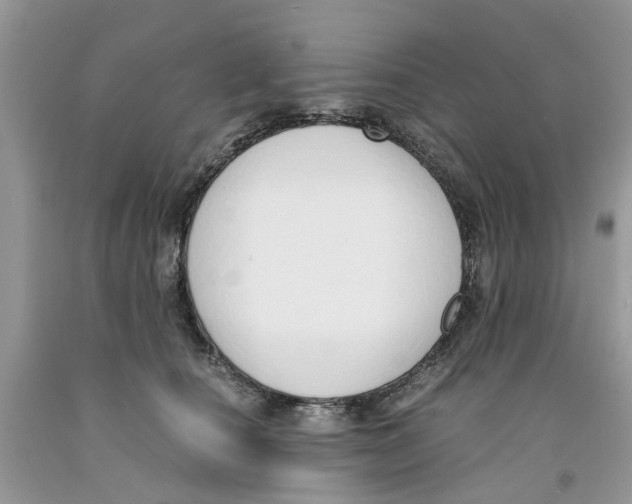 X0000091520660200709141416