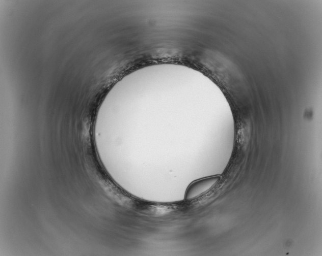 X0000091520662200709141416