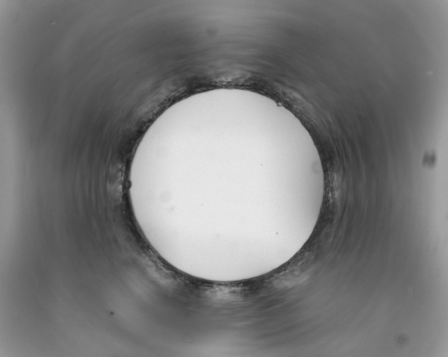 X0000091520664200709141416