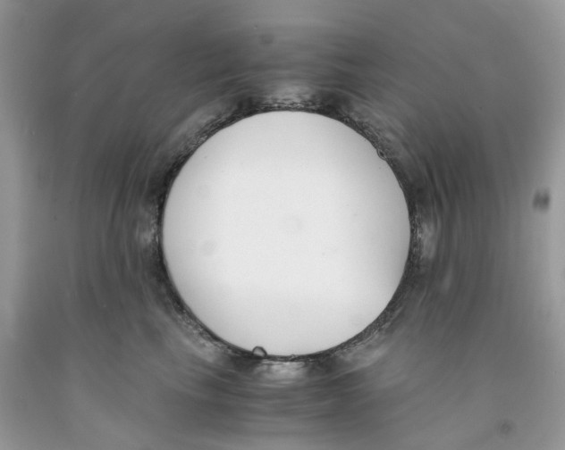 X0000091520665200709141416