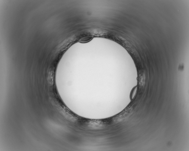 X0000091520666200709141416