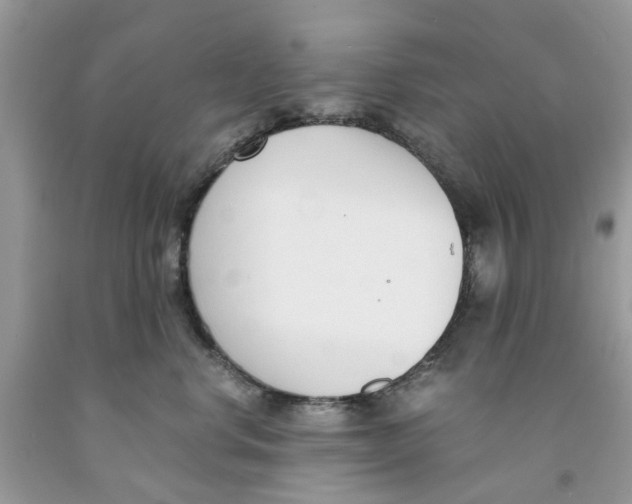 X0000091520668200709141416