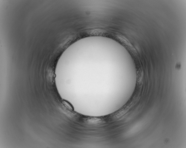 X0000091520669200709141416