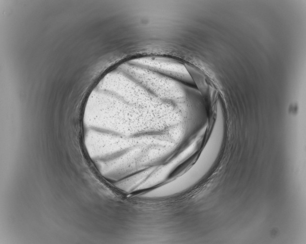 X0000091520673200709141415