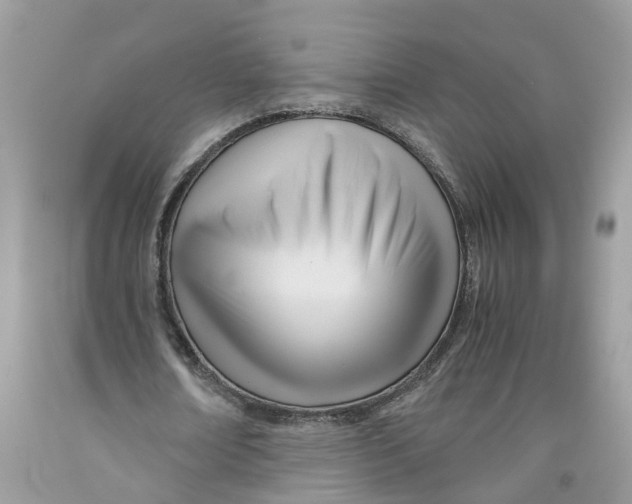 X0000091520674200709141415