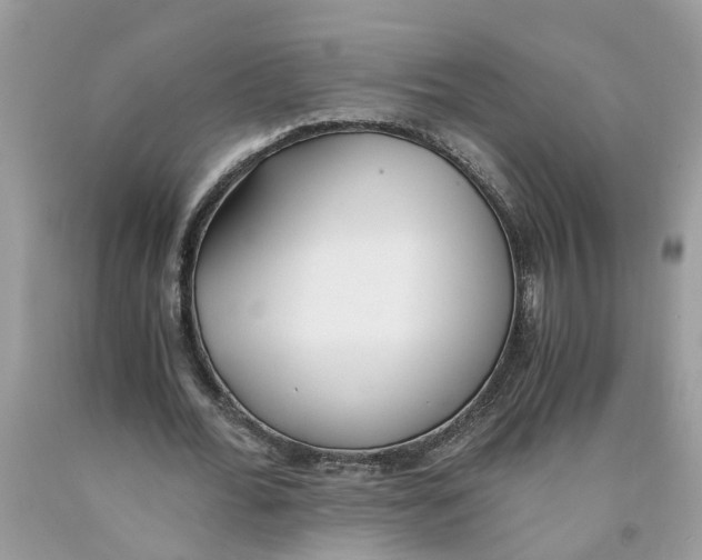 X0000091520676200709141415