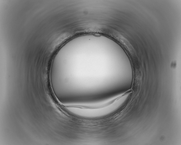 X0000091520677200709141415