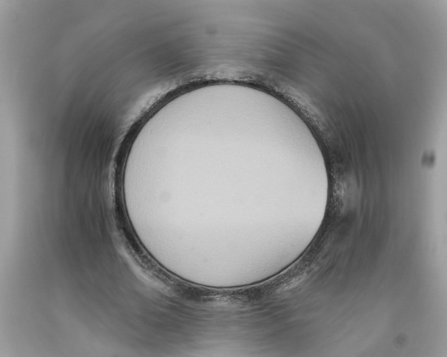 X0000091520678200709141415