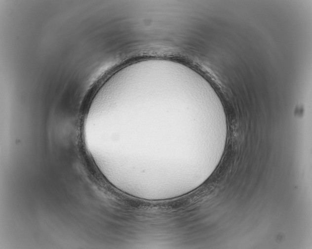 X0000091520679200709141415