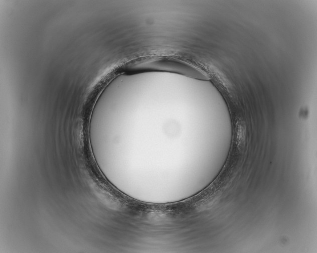 X0000091520684200709141415