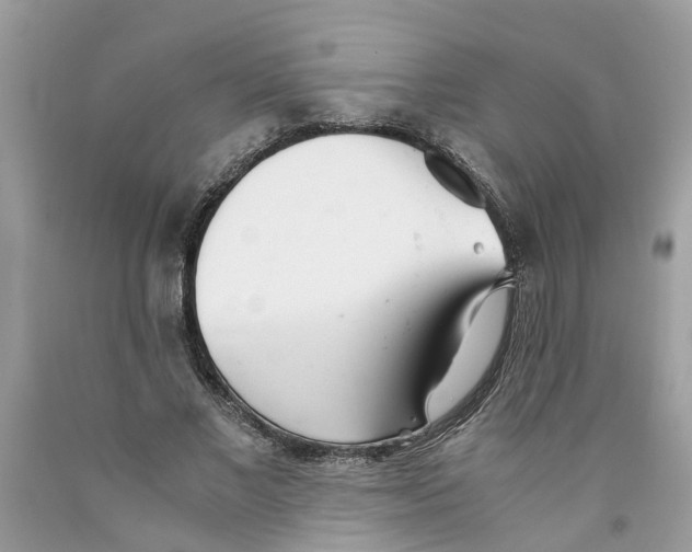 X0000091520685200709141415