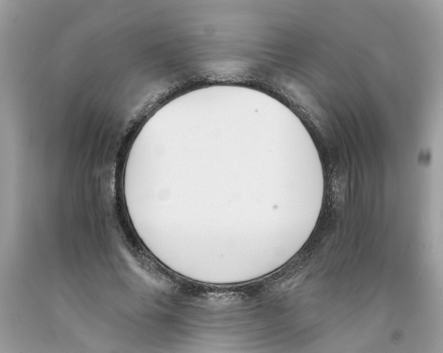 X0000091520686200709141415