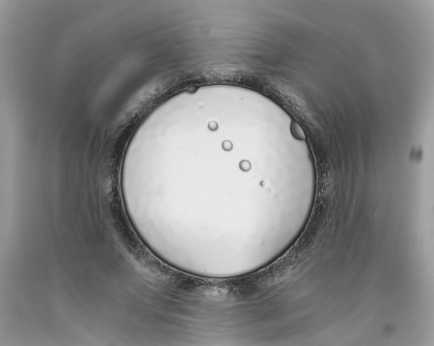 X0000091520687200709141415