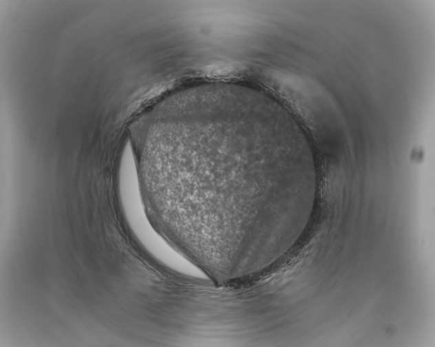 X0000091520689200709141415