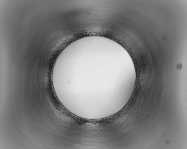 X0000091520690200709141415