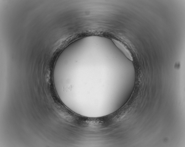 X0000091520693200709141415