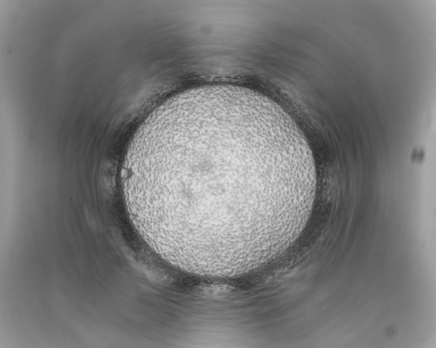 X0000091520695200709141415