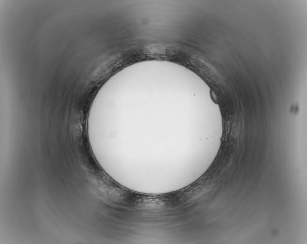 X0000091520702200709141415