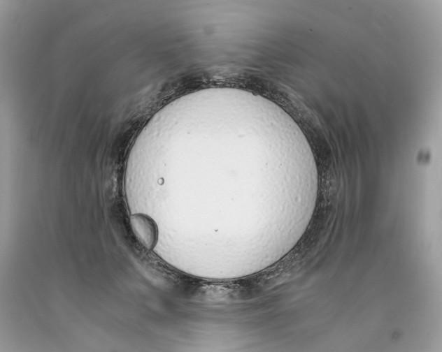 X0000091520703200709141415