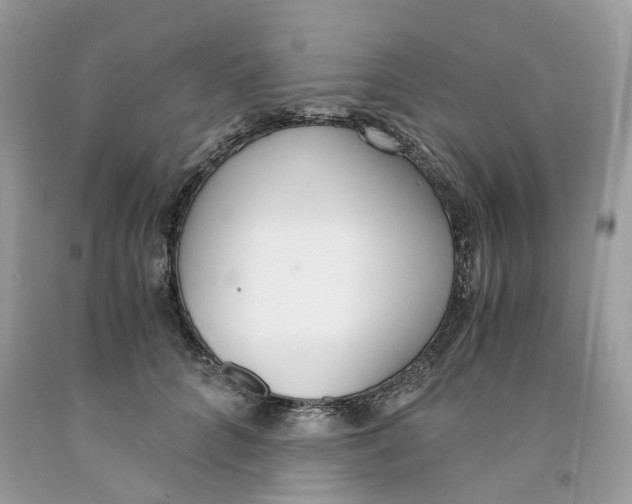 X0000091520704200709141415