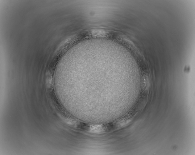 X0000091520705200709141415