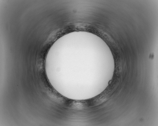 X0000091520706200709141415