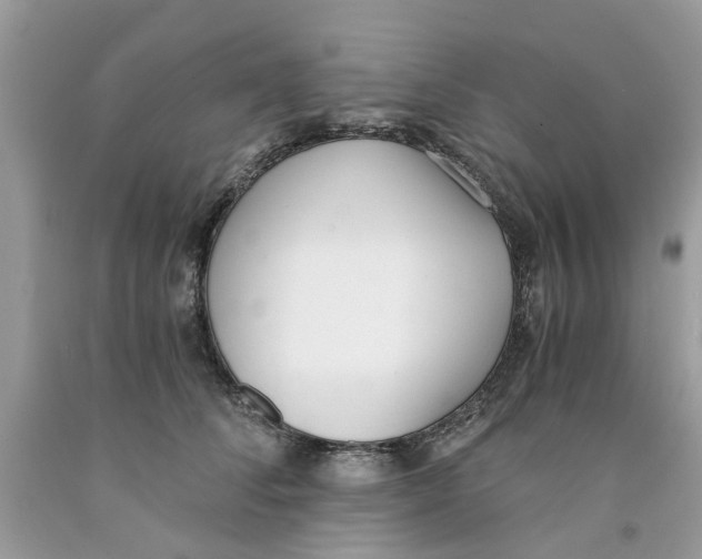 X0000091520708200709141415