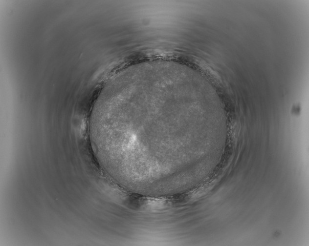 X0000091520709200709141415