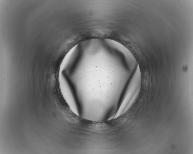 X0000091520716200709141415