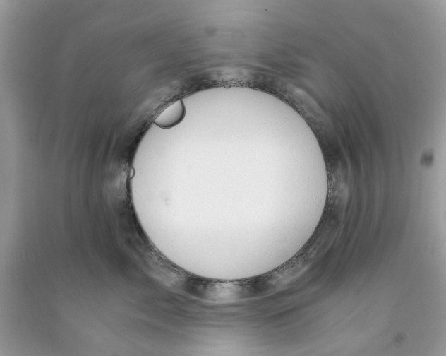 X0000091520717200709141415